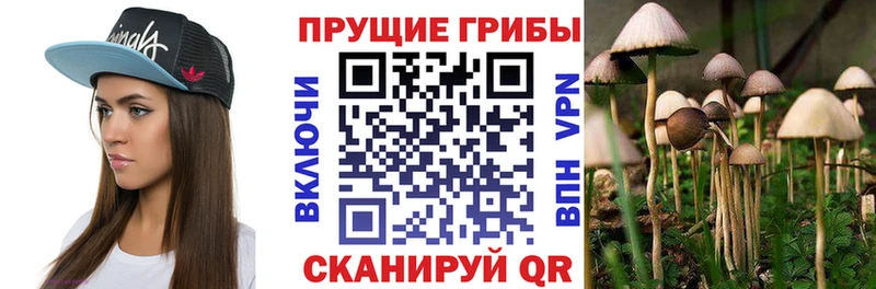 Псилоцибиновые грибы GOLDEN TEACHER  Инта 
